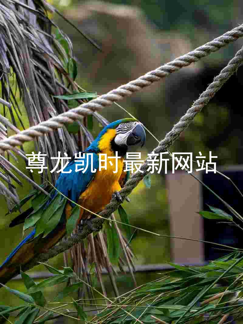 尊龙凯时最新网站