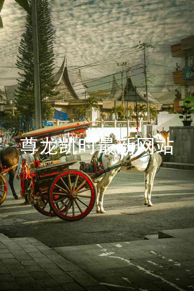 尊龙凯时最新网站